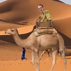 Man On A Camel - Tik Tok