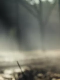 Mulan - AI