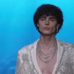 Handsome Model - Fashion